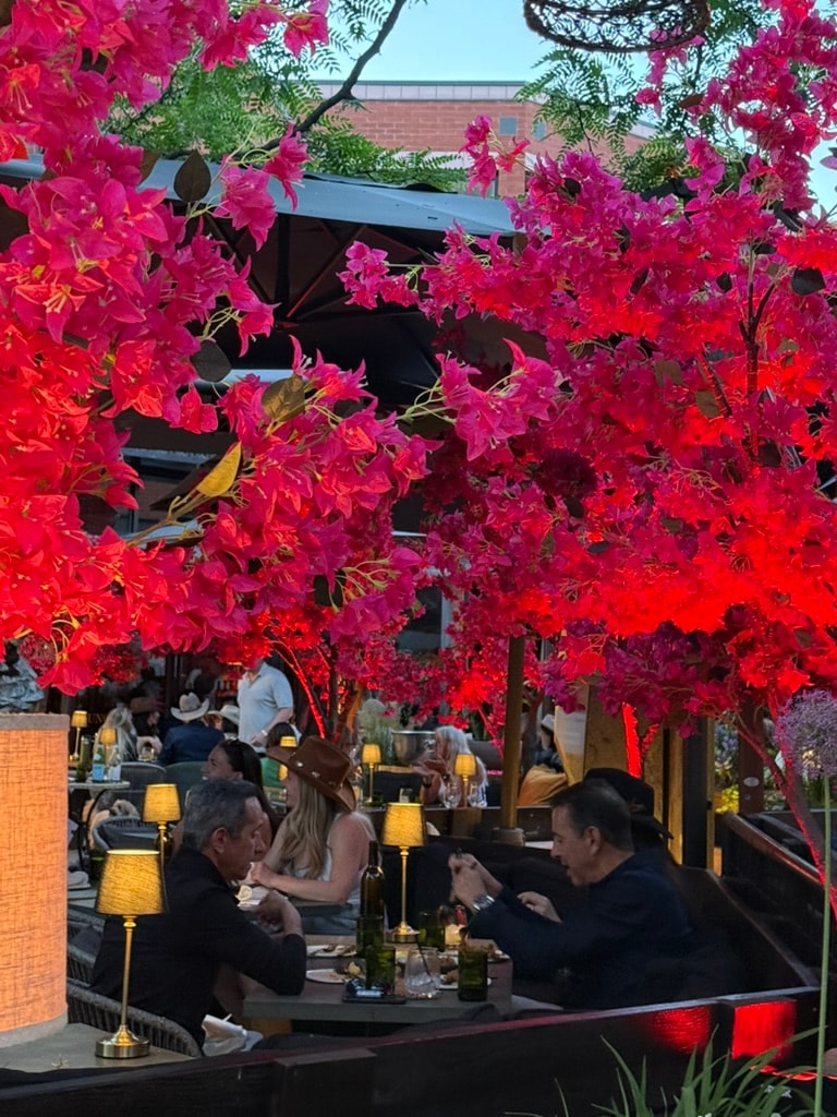 Outdoor dining in downtown Aspen framed by bright red and pink flowers, black umbrellas, and diners
